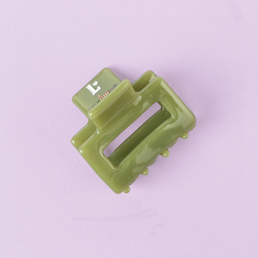 Pre-order hair clip Pistachio